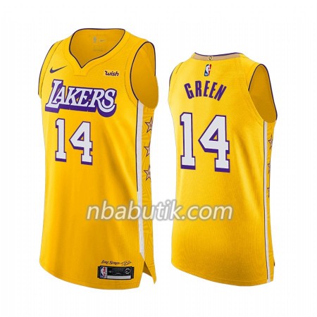 NBA Mænd Trøje Los Angeles Lakers Danny Green 14 Nike 2019-20 City Edition Swingman